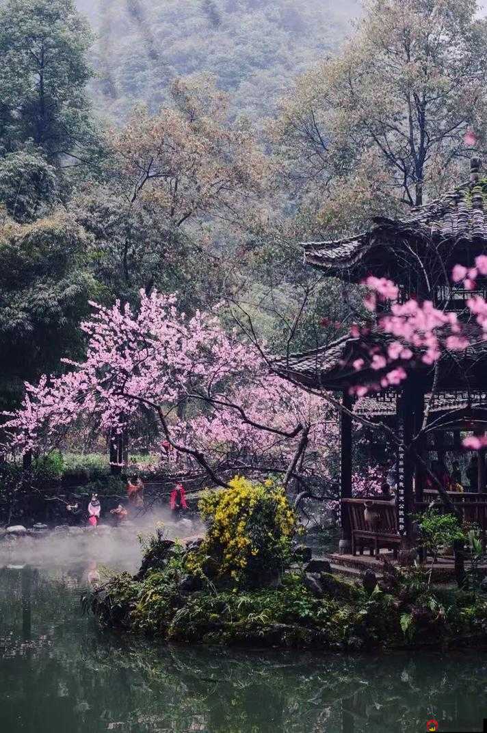 春天里最动人的风景：那些在春日中绽放的美好与温暖