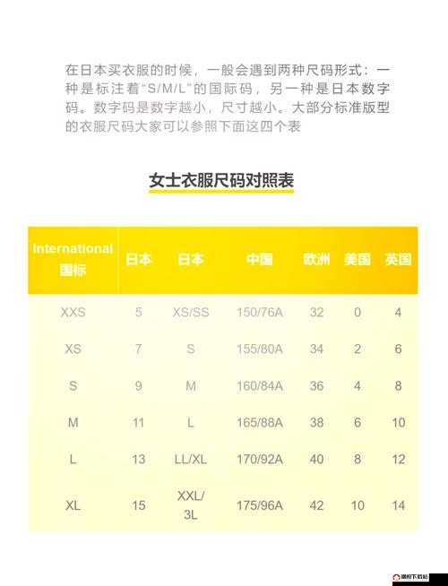 欧洲专线与日本专线差异解析：全方位对比分析及特点详述